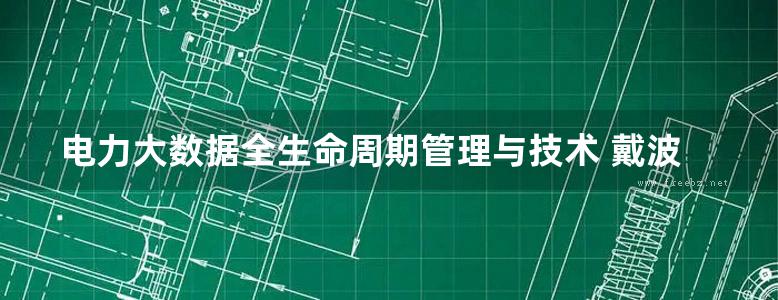 电力大数据全生命周期管理与技术 戴波等著 (2020版)